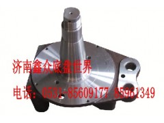 199112410057,轉(zhuǎn)向節(jié)總成,濟(jì)南國橋汽車零部件有限公司