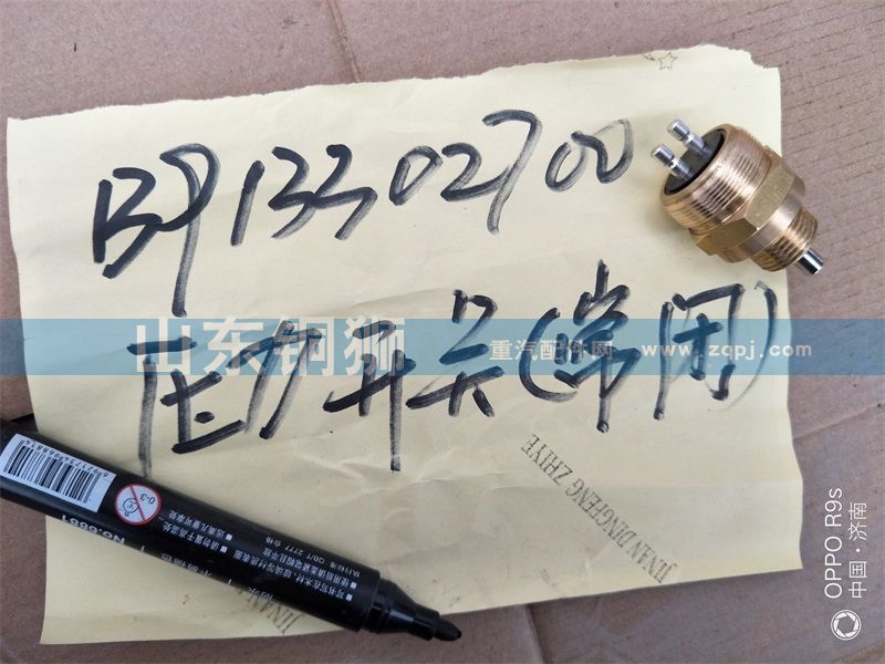 B913302700壓力開(kāi)關(guān)(常用)/B913302700