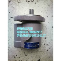 康明斯發(fā)動機(jī)轉(zhuǎn)向助力泵