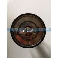 618DA1306000 節(jié)溫器