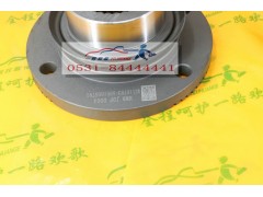 42116783-5801605791,角齒凸緣,一路歡歌(山東)汽車(chē)配件有限公司