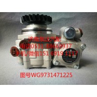 重汽豪沃轉(zhuǎn)子泵、助力泵WG9731471225