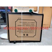 WG9525530027散熱器