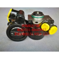 陜汽重卡轉(zhuǎn)向油泵、葉片泵DZ96189470702