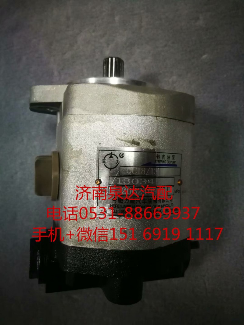 浦沅起重機(jī)吊車濰柴道依茨WP6助力泵QC18/13-226B/13034568