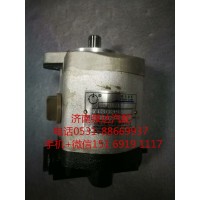 浦沅起重機(jī)吊車濰柴道依茨WP6助力泵QC18/13-226B