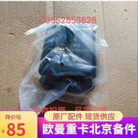 動(dòng)力前懸置總成 H4101020009A0