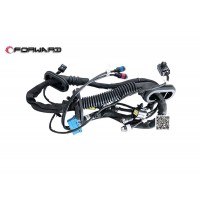 DZ9X189772704  右車門線束