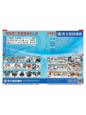 山東魯泉軸承制造有限公司