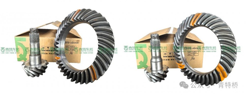 微信圖片_20250611151001